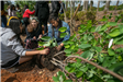 3 Children Inspecting Tree Roots
